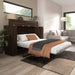 Modubox Pur 75W Queen Cabinet Bed with Matteress in Black Walnut