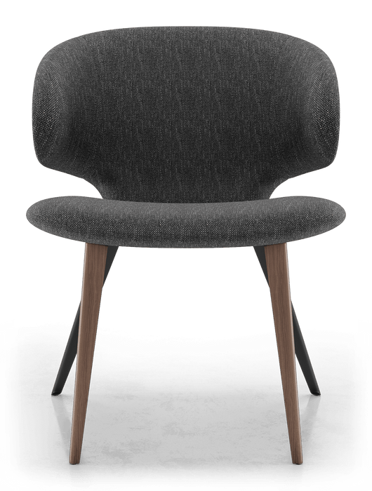 Modloft Harper Dining Chair in Dark Shadow Fabric and Walnut