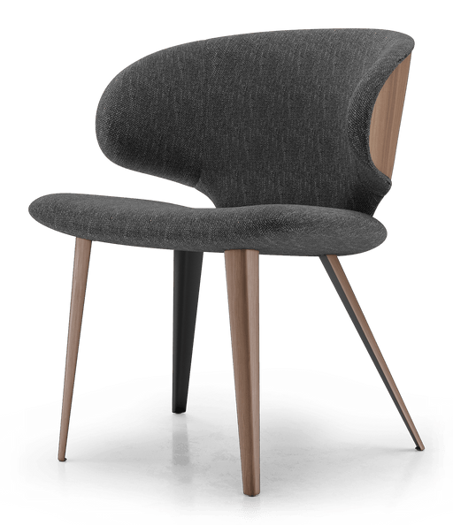 Modloft Harper Dining Chair in Dark Shadow Fabric and Walnut